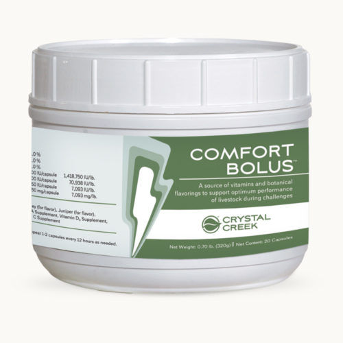 ����� ������� COMFORT BOLUS� ��� �������� �������� ����� ��������