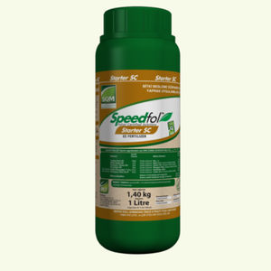 Doktor tarsa : ������ � ������ ������� -