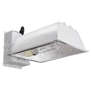 HongYi Lighting Ltd : �������������������� ��������� -