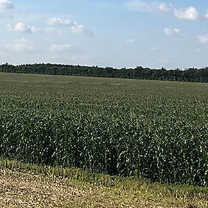 DuPont Pioneer : ������ � ������ ������� -