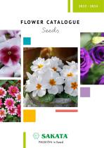 ������ ������ ����� ������ Grace ������� ����� ��� �����