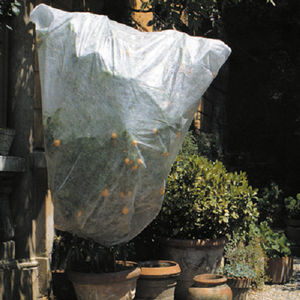 �������� ����� 6017BL AGRIVELO 17 �� ������������� ��� �������� ��� ������