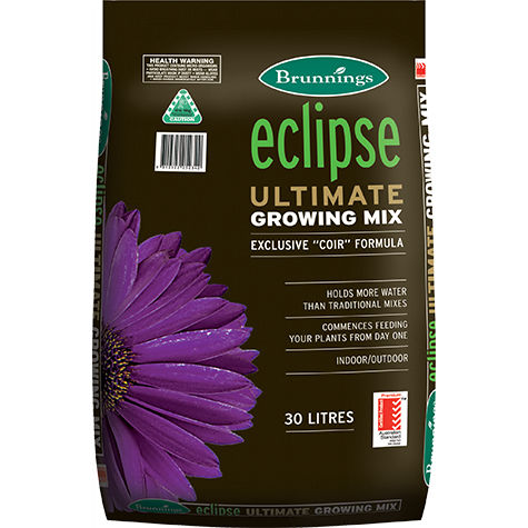 �������� �������� ����� ��� ��������� ������� Eclipse Ultimate ��������� ������� � �����
