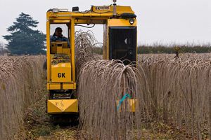 ������-�������� GK175 ���������� ��������� ��������������������