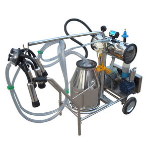 ��������� ��� ����� ��� ����� ������������