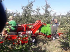FEUCHT Obsttechnik GmbH : �������������������� ��������� -