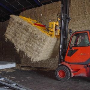 ���� ��� ����� Fred 2-3