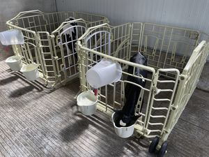 ������ ��� ��������� ����� Plastic fence ��� ������ ��� ����� �� ��������