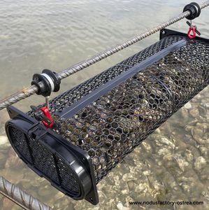 Nodus Factory - Ostrea : �������������� -