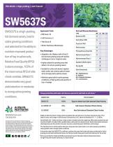 ���� ������� SW5637S ��� ���������������� ������ ���������������� ��� �����