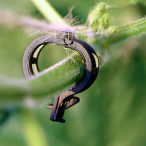 ������ ��� ��������� �������� �� �������� Twinhook BIO ��� ��������� � ��������