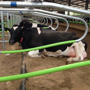 Wilson Agri : �������������������� ��������� -