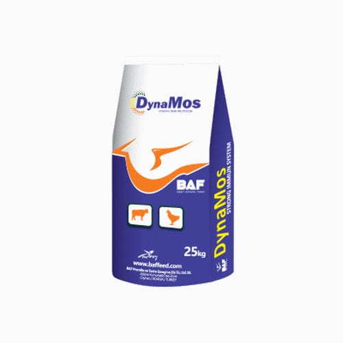 �������� ������� ��� �������� DynaMos ��� �������� �������� ����� ��� �������� ����� � ��������
