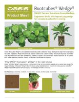 �������� �������� ���� Rootcubes� ������ ����������