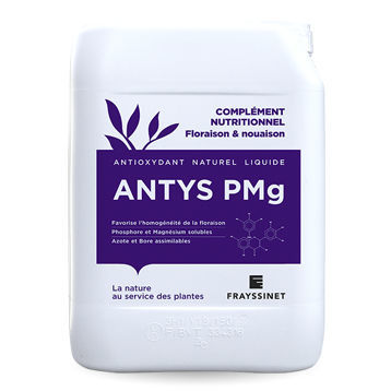 ����������� ��������� ANTYS PMG NP � ��������������� ��������