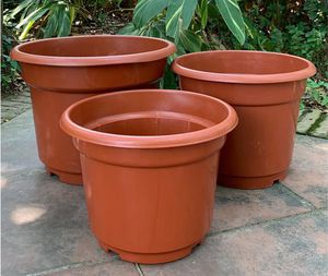 ������ �� �������� Orchid ������� ������������ ������