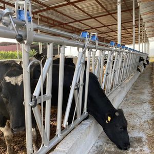 TUGRA iftik Ekimanlari Tarim Hayv. San. ve Tic. Ltd. Sti. : �������������� -