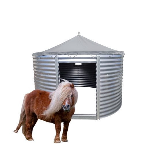 ����� ��� ��������� ����� Technigte� Equids ��� ���� ������������ �� �����