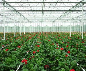 GGS Structures Inc : ����������� -
