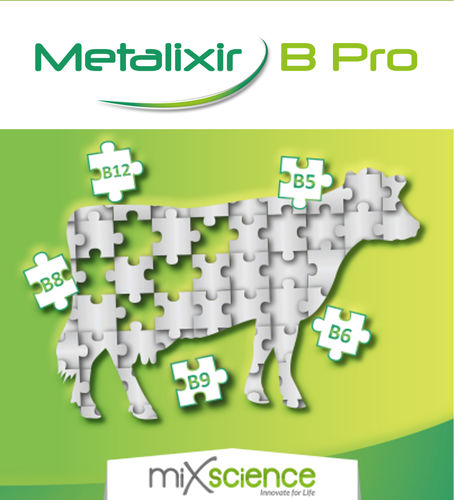 ������� �������� ��� �������� �������� ����� Metalixir B Pro �����