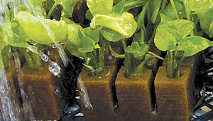 OASIS Grower Solutions : ����������� -