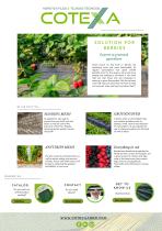 ���������� ����� SOLUTION FOR BERRIES ��� ������ �� ����� ��� �������� ��� �������