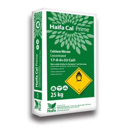 ����������� ��������� Cal� Prime ������� ������� �������� ���������������
