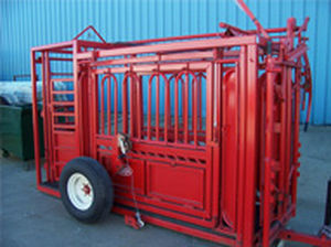 ������ ��� ��������