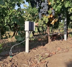 ������������ �������� Meteobot� Micro ����������� ������������ � ������������� ������
