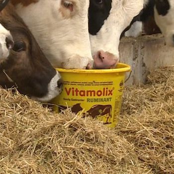 ������� � ����� ��� �������� �������� ����� Vitamolix ��� ��� ��� ���� ��� �������