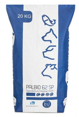 �������� ������� ��� �������� Palbio 62 SP ��� ������� ��� ���� ��� �����