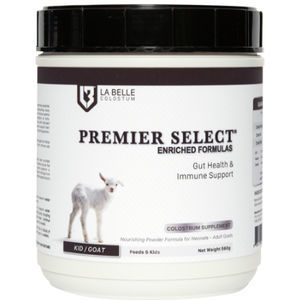 ���������� ��������� ��� ������� PREMIER SELECT � ����� �������