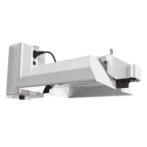 HongYi Lighting Ltd : �������������������� ��������� -