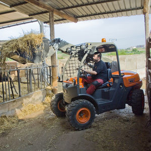 Ausa : ����� �������������������� ������������ -