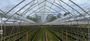Haygrove Inc : ����������� -