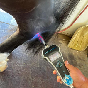 ��� ��� ������� �������� ����� STREAMLINE SPA � ������� �����