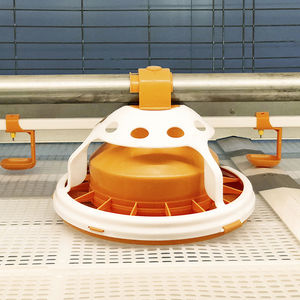 ���������������� ������� ����� ��� ������������ ���������