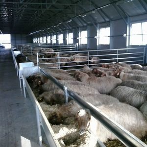 ������ ��� ������� INDB125, 2000 �� ������� ������������ ��������� ���������