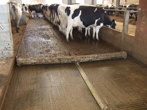 ����� ��� ������ �� ������ CombiScraper Solid floor ������ �� ������� ��������������