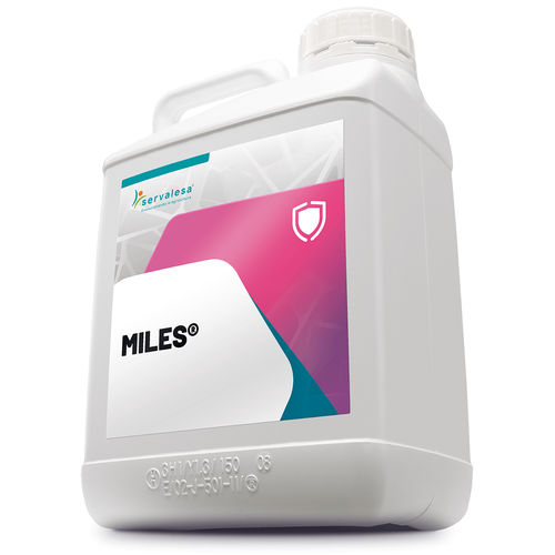 ������������ ��������������� MILES� ������������ �����