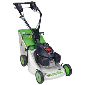 ETESIA : ����� �������������������� ������������ -