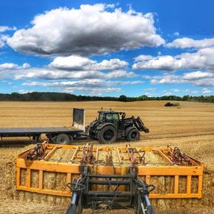 ���� ��� ����� Fred 2-3