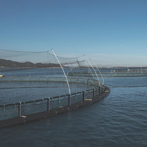 AKVA group : �������������� -