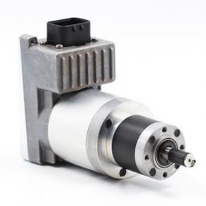 ROJ srl : ���������� ���������� -