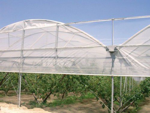 ������ ��� ������� Multisolar 33 �� �������� ����������� ������