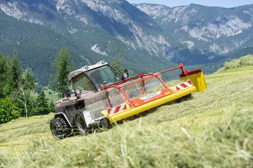 ��������� ����������������� MERGENTO F ALPIN � ����������� ���������