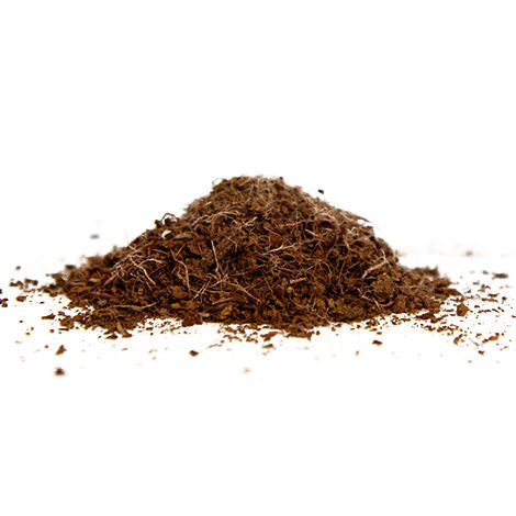 �������� �������� ���� Woodpeat� ����� ��� ��������� ������� ��������� ������� ��������� �������