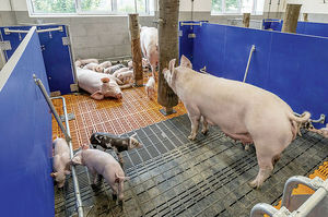 ������� ��������� CompoTower