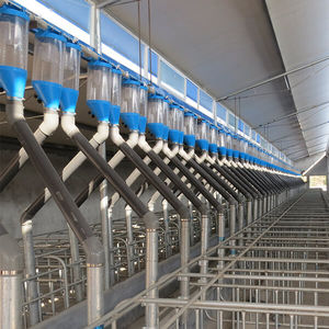 Hengyin livestock : �������������� -
