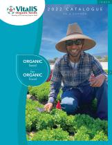 ������� ������ ������� ����� Sakura F1 ������ ���������� � ��������� ���������� � �������